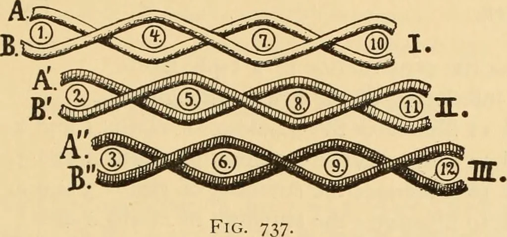 An illustration from Technology of textile design. Being a practical treatise on the construction and application of weaves for all textile fabrics, with minute reference to the latest inventions for weaving. Containing also an appendix showing the analysis and giving the calculations necessary for the manufacture of the various textile fabrics, 1889, leaf 152