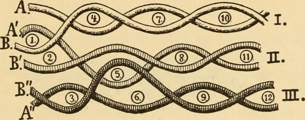 An illustration from Technology of textile design. Being a practical treatise on the construction and application of weaves for all textile fabrics, with minute reference to the latest inventions for weaving. Containing also an appendix showing the analysis and giving the calculations necessary for the manufacture of the various textile fabrics, 1889, leaf 152