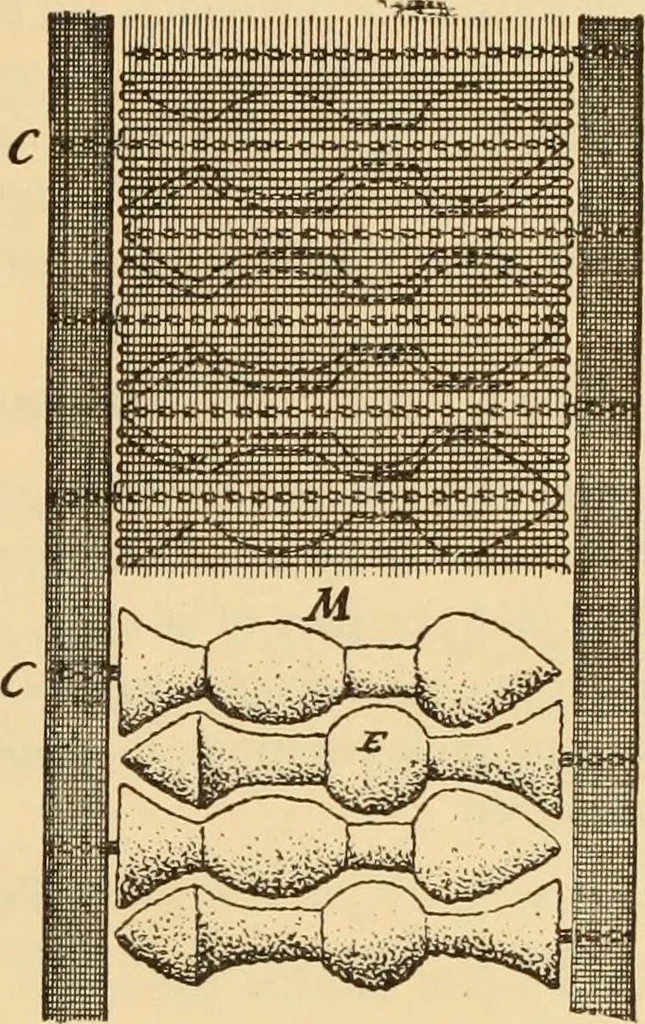 An illustration from Technology of textile design. Being a practical treatise on the construction and application of weaves for all textile fabrics, with minute reference to the latest inventions for weaving. Containing also an appendix showing the analysis and giving the calculations necessary for the manufacture of the various textile fabrics, 1889, leaf 170