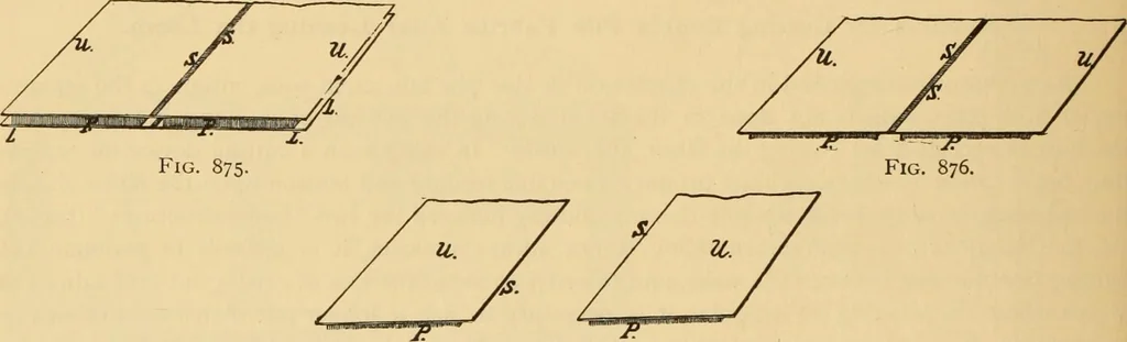 An illustration from Technology of textile design. Being a practical treatise on the construction and application of weaves for all textile fabrics, with minute reference to the latest inventions for weaving. Containing also an appendix showing the analysis and giving the calculations necessary for the manufacture of the various textile fabrics, 1889, leaf 211