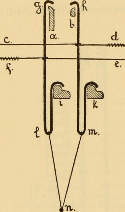 An illustration from Technology of textile design. Being a practical treatise on the construction and application of weaves for all textile fabrics, with minute reference to the latest inventions for weaving. Containing also an appendix showing the analysis and giving the calculations necessary for the manufacture of the various textile fabrics, 1889, leaf 219