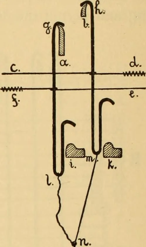 An illustration from Technology of textile design. Being a practical treatise on the construction and application of weaves for all textile fabrics, with minute reference to the latest inventions for weaving. Containing also an appendix showing the analysis and giving the calculations necessary for the manufacture of the various textile fabrics, 1889, leaf 219