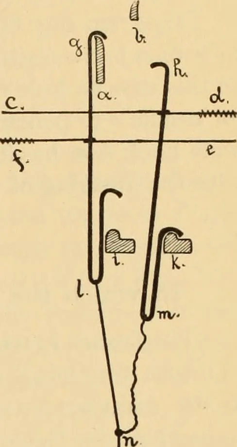 An illustration from Technology of textile design. Being a practical treatise on the construction and application of weaves for all textile fabrics, with minute reference to the latest inventions for weaving. Containing also an appendix showing the analysis and giving the calculations necessary for the manufacture of the various textile fabrics, 1889, leaf 220