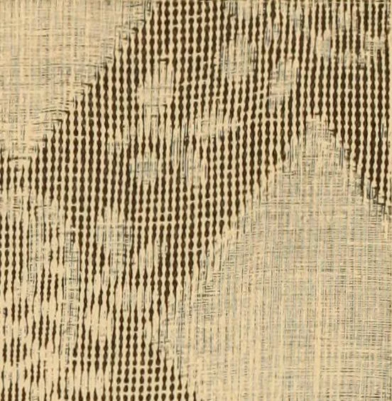 An illustration from Technology of textile design. Being a practical treatise on the construction and application of weaves for all textile fabrics, with minute reference to the latest inventions for weaving. Containing also an appendix showing the analysis and giving the calculations necessary for the manufacture of the various textile fabrics, 1889, leaf 246