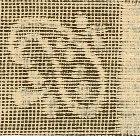 An illustration from Technology of textile design. Being a practical treatise on the construction and application of weaves for all textile fabrics, with minute reference to the latest inventions for weaving. Containing also an appendix showing the analysis and giving the calculations necessary for the manufacture of the various textile fabrics, 1889, leaf 246