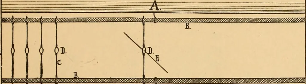 An illustration from Technology of textile design. Being a practical treatise on the construction and application of weaves for all textile fabrics, with minute reference to the latest inventions for weaving. Containing also an appendix showing the analysis and giving the calculations necessary for the manufacture of the various textile fabrics, 1889, leaf 36