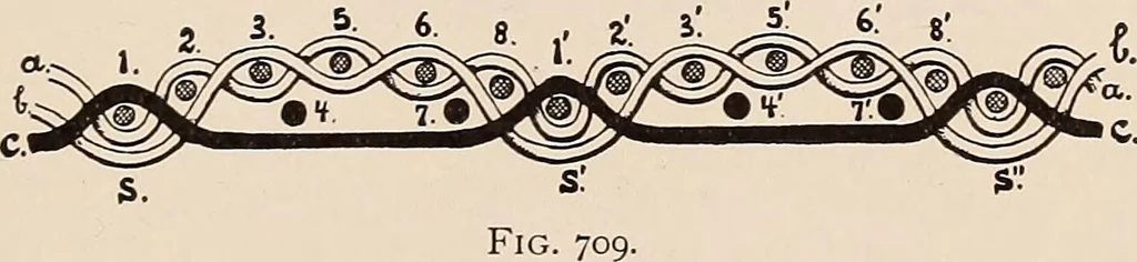 An illustration from Technology of textile design. A practical treatise on the construction and application of weaves for all textile fabrics... Containing also an appendix describing all the latest methods and improvements in designing and manufacturing, 1890, leaf 154