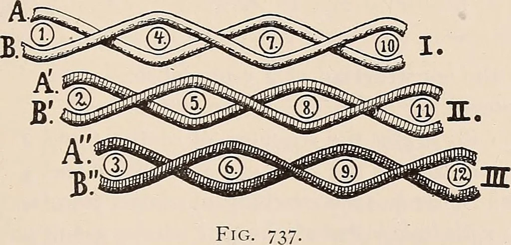 An illustration from Technology of textile design. A practical treatise on the construction and application of weaves for all textile fabrics... Containing also an appendix describing all the latest methods and improvements in designing and manufacturing, 1890, leaf 160