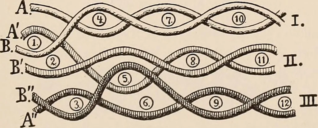 An illustration from Technology of textile design. A practical treatise on the construction and application of weaves for all textile fabrics... Containing also an appendix describing all the latest methods and improvements in designing and manufacturing, 1890, leaf 160