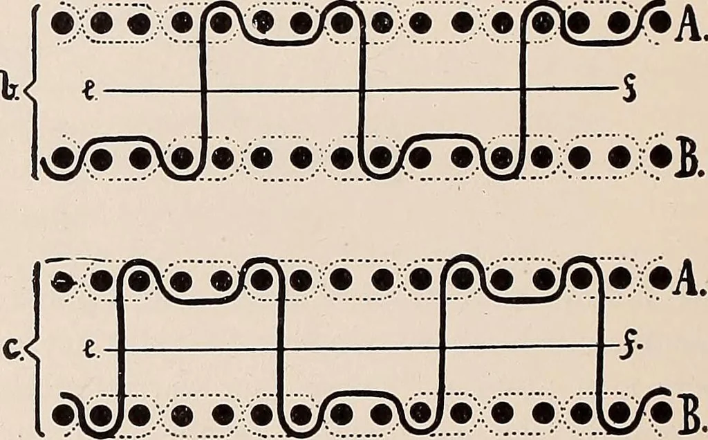 An illustration from Technology of textile design. A practical treatise on the construction and application of weaves for all textile fabrics... Containing also an appendix describing all the latest methods and improvements in designing and manufacturing, 1890, leaf 209