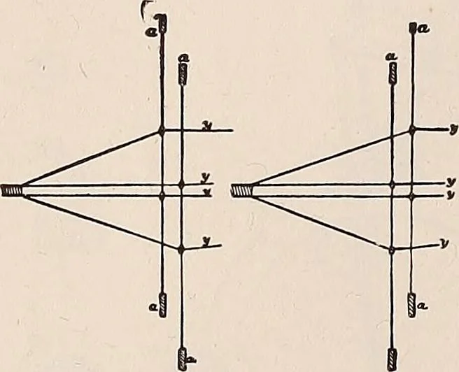 An illustration from Technology of textile design. A practical treatise on the construction and application of weaves for all textile fabrics... Containing also an appendix describing all the latest methods and improvements in designing and manufacturing, 1890, leaf 225