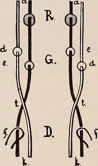 An illustration from Technology of textile design. A practical treatise on the construction and application of weaves for all textile fabrics... Containing also an appendix describing all the latest methods and improvements in designing and manufacturing, 1890, leaf 253