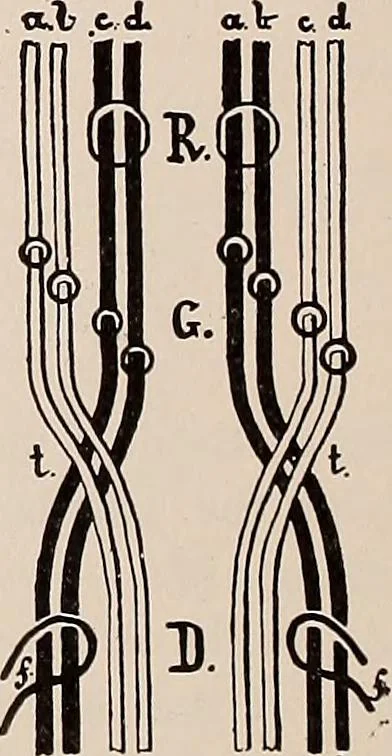 An illustration from Technology of textile design. A practical treatise on the construction and application of weaves for all textile fabrics... Containing also an appendix describing all the latest methods and improvements in designing and manufacturing, 1890, leaf 253