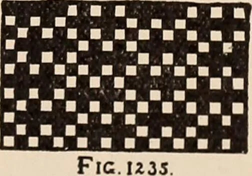 An illustration from Technology of textile design. A practical treatise on the construction and application of weaves for all textile fabrics... Containing also an appendix describing all the latest methods and improvements in designing and manufacturing, 1890, leaf 300