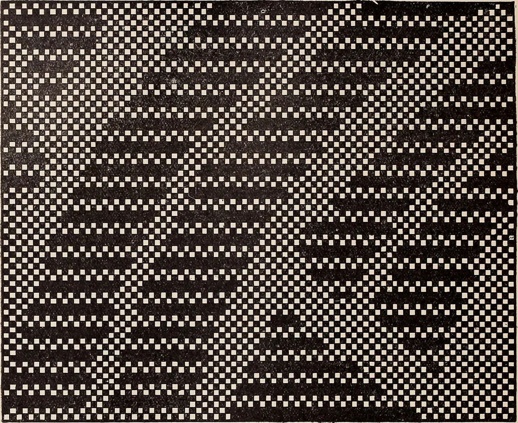 An illustration from Technology of textile design. A practical treatise on the construction and application of weaves for all textile fabrics... Containing also an appendix describing all the latest methods and improvements in designing and manufacturing, 1890, leaf 303