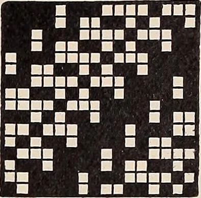 An illustration from Technology of textile design. A practical treatise on the construction and application of weaves for all textile fabrics... Containing also an appendix describing all the latest methods and improvements in designing and manufacturing, 1890, leaf 311
