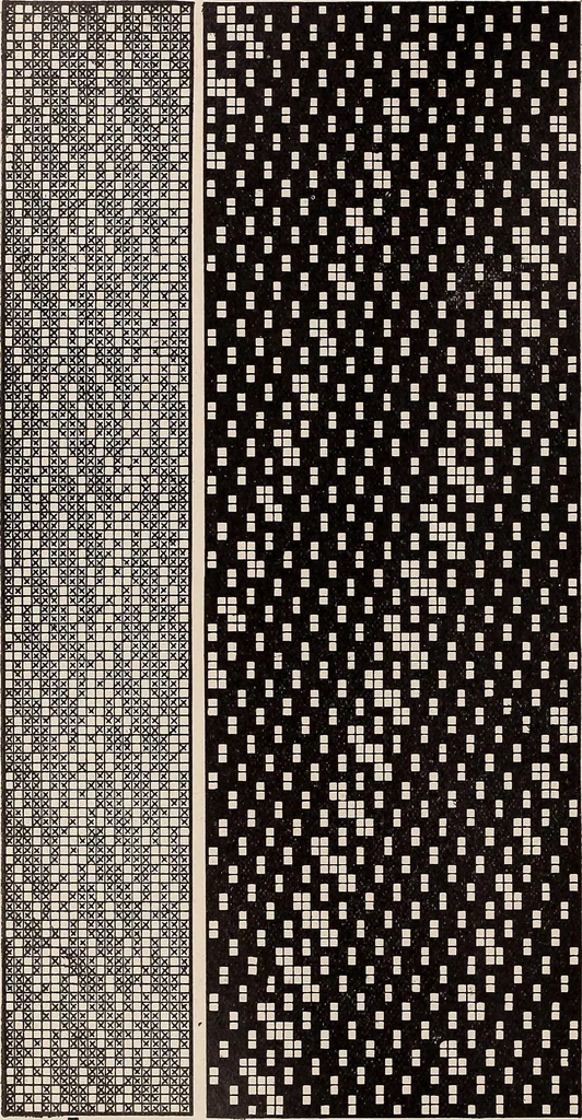 An illustration from Technology of textile design. A practical treatise on the construction and application of weaves for all textile fabrics... Containing also an appendix describing all the latest methods and improvements in designing and manufacturing, 1890, leaf 319
