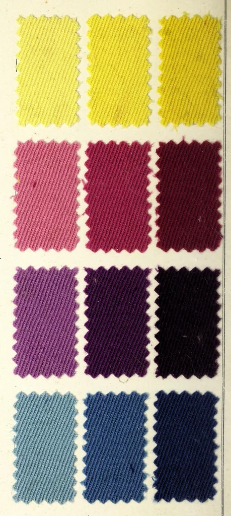 An illustration from Teintures solides à la lumière sur étoffe pour dames = Dyeings fast to light on ladies dress-material, 1920, leaf 4
