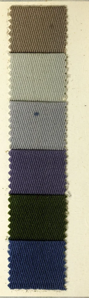 An illustration from Teintures solides à la lumière sur étoffe pour dames = Dyeings fast to light on ladies dress-material, 1920, leaf 6