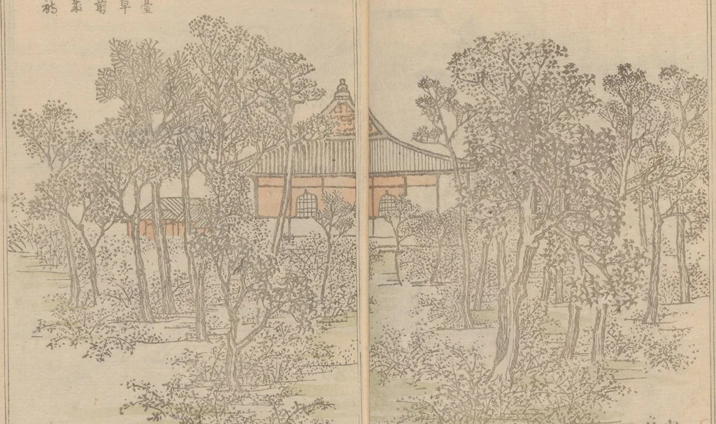 An illustration from Teito gakei ichiran, 1809, leaf 8