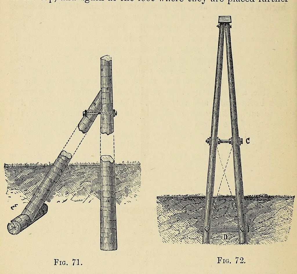 An illustration from The telegraph : translated from the French, 1895, leaf 148