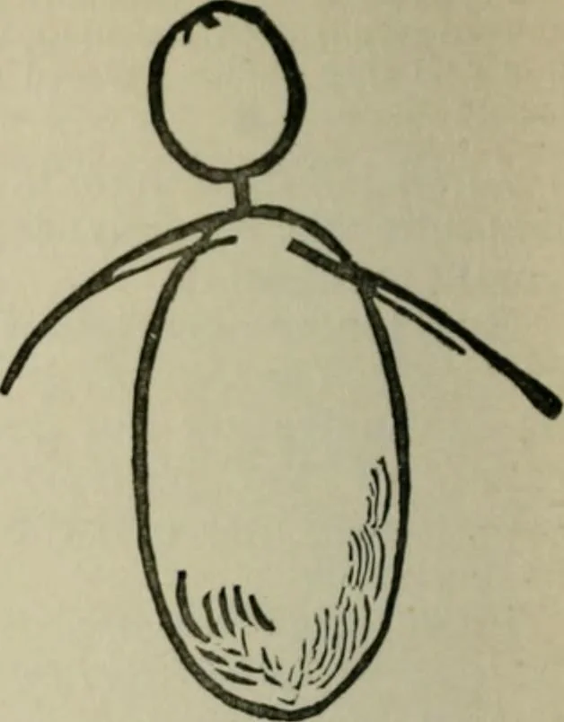 An illustration from Telepathic hallucinations : the new view of ghosts, 1909, leaf 71