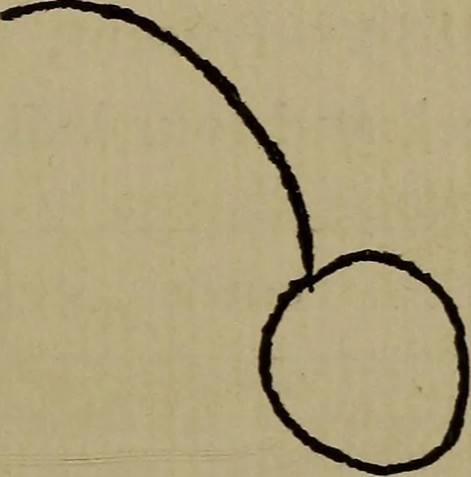 An illustration from Telepathy and the subliminal self : an account of recent investigations regarding hypnotism, automatism, dreams, phantasms, and related phenomena, 1899, leaf 32