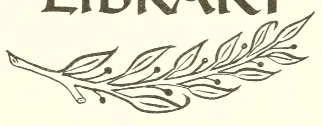An illustration from Telling fortunes by cards; a symposium of the several ancient and modern methods as practiced by Arab seers and sibyls and the Romany Gypsies, 1916, leaf 2