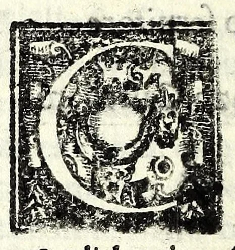 An illustration from Tempesta amorosa : comedia, 1605, leaf 14