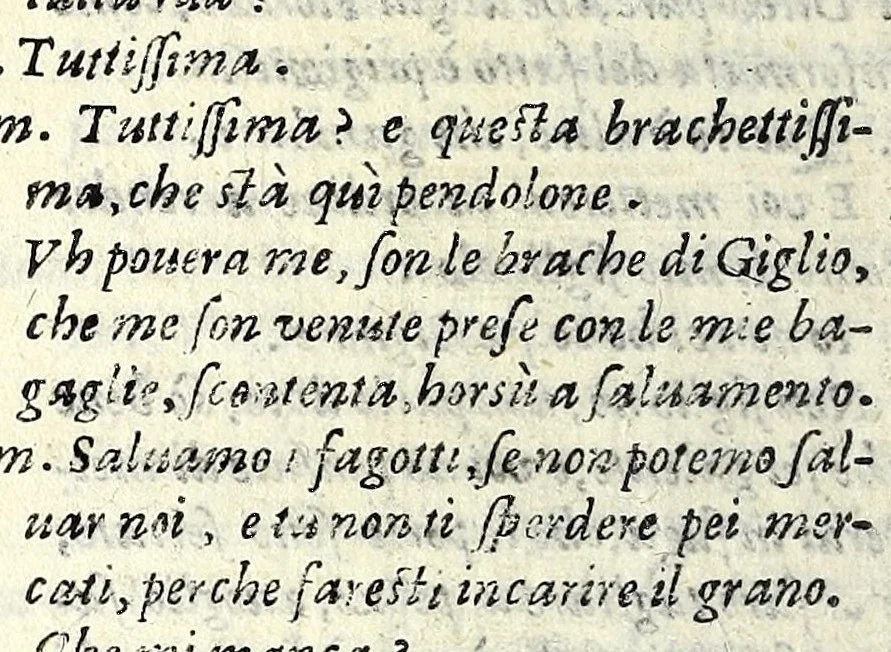 An illustration from Tempesta amorosa : comedia, 1605, leaf 202