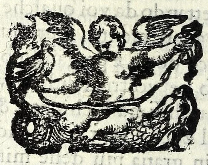 An illustration from Tempesta amorosa : comedia, 1605, leaf 24