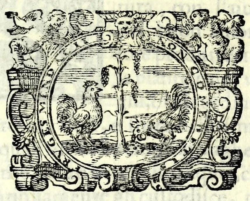 An illustration from Tempesta amorosa : comedia, 1605, leaf 7