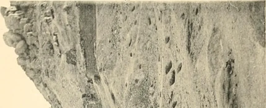 An illustration from The temple of Bîgeh, 1915, leaf 90