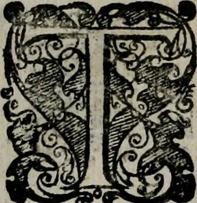 An illustration from Templvm gratiarvm, serenissimi ... : principis ac domini D. Leopoldi, archidvcis Avstriae et comitis Tyrolis &c fvndatoris mvnificentissimi : augustissimi ... caesaris Ferdinandi II., Germani fratris, piis manibvs ... a memoria archidvcalis collegii Passaviensis Societatis Iesv, ipso inferiarum, ac post D. Leopoldi die cum iusta in oratorio pie persolveret ac moestissime parentaret, A.D. MDCXXXII : Summa observantia dicatum dedicatumque, 1633, leaf 157