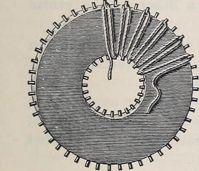 An illustration from Teneriffe lace work, 1920, leaf 10
