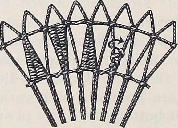 An illustration from Teneriffe lace work, 1920, leaf 13