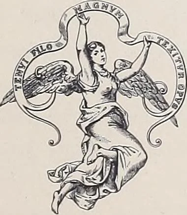 An illustration from Teneriffe lace work, 1920, leaf 6