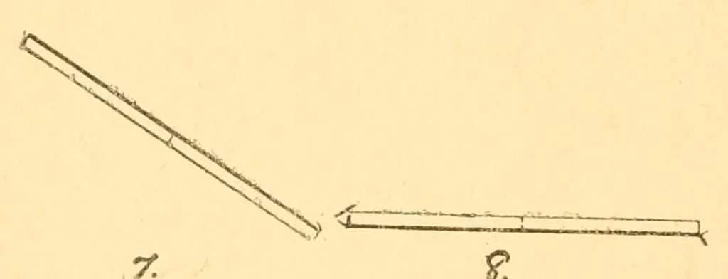 An illustration from The tenth gift, stick-laying in primary schools; a practical manual especially for primary-kindergarten teachers .., 1903, leaf 12