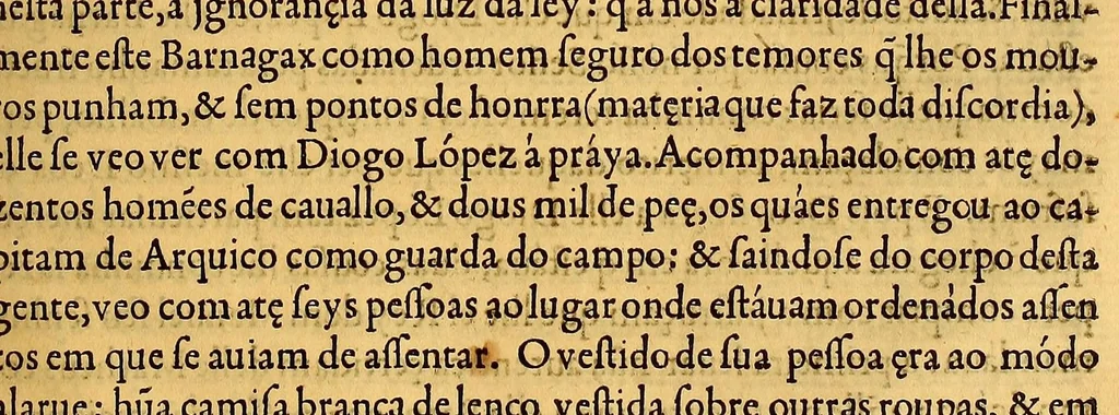 An illustration from Terceira decada da Asia de Ioam de Barros: : dos feytos que os portugueses fizeram no descobrimento & conquista dos mares & terras do Oriente, 1563, leaf 209