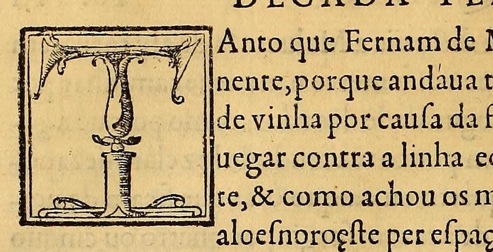 An illustration from Terceira decada da Asia de Ioam de Barros: : dos feytos que os portugueses fizeram no descobrimento & conquista dos mares & terras do Oriente, 1563, leaf 324