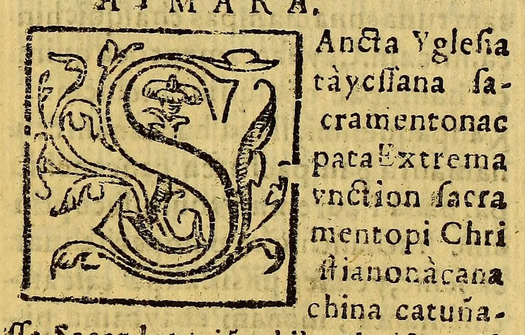An illustration from Tercero cathecismo y exposicion de la doctrina christiana, por sermones. : Para que los curas y otros ministros prediquen y enseñen a los yndios y a las demas personas. Conforme a lo que en el sancto Concilio Prouincial de Lima se proueyo, 1585, leaf 207