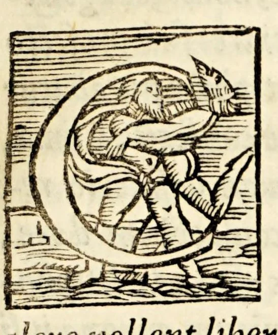 An illustration from Terentius,, 1560, leaf 393