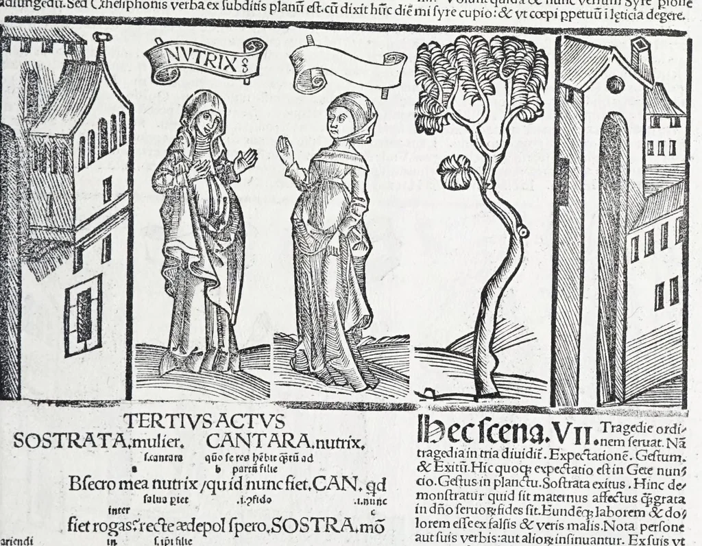 An illustration from Terenti[us] : cũ directorio vocabulorũ, sententiarũ, artis comice : glosa ĩterlineali : comẽtarijs Donato, Gvidone, Ascensio, leaf 203
