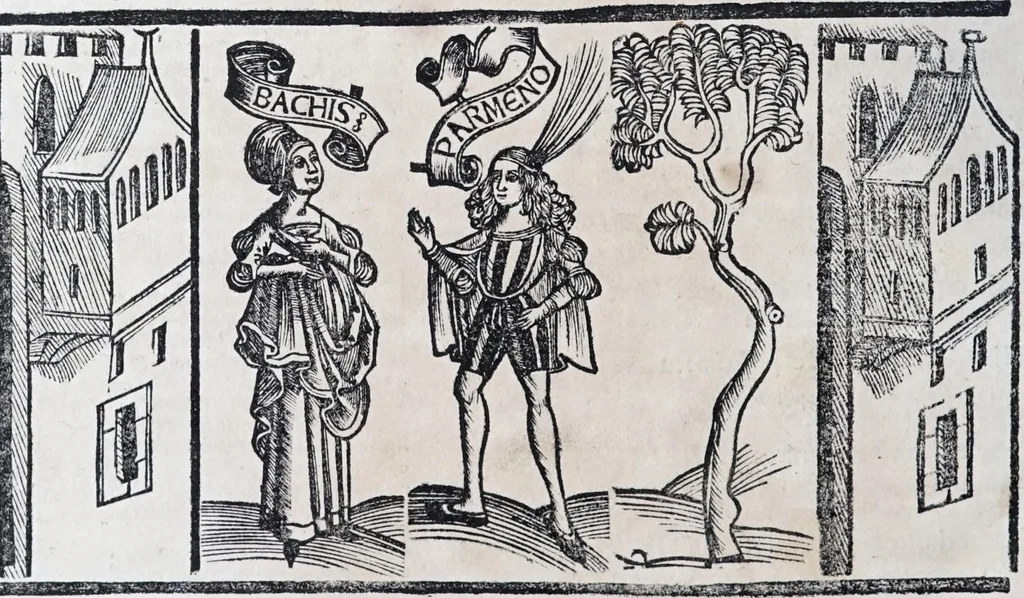 An illustration from Terenti[us] : cũ directorio vocabulorũ, sententiarũ, artis comice : glosa ĩterlineali : comẽtarijs Donato, Gvidone, Ascensio, leaf 354