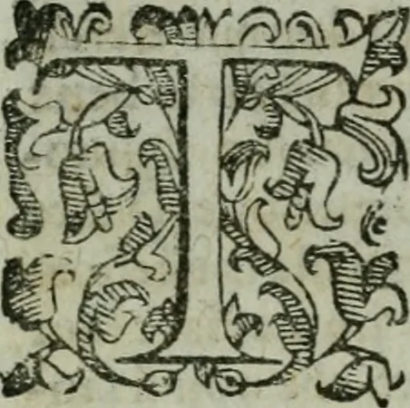 An illustration from Termini di mezzo rilievo e d'intera dottrina tra gl'archi di casa Valori in Firenze : col sommario della vita d'alcvni : compendio dell'opere de gl'altri, e indizio di tutti gl'aggiunti nel discorso dell'eccellenza degli scrittori, e nobiltà de gli studi Fiorentini, 1604, leaf 35