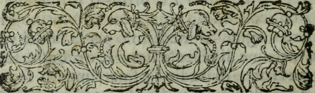 An illustration from Termini di mezzo rilievo e d'intera dottrina tra gl'archi di casa Valori in Firenze : col sommario della vita d'alcvni : compendio dell'opere de gl'altri, e indizio di tutti gl'aggiunti nel discorso dell'eccellenza degli scrittori, e nobiltà de gli studi Fiorentini, 1604, leaf 41