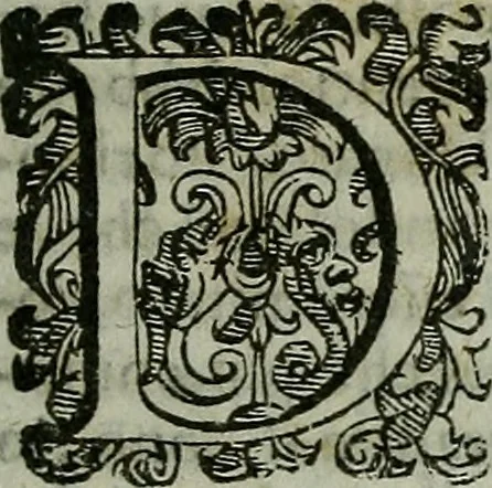An illustration from Termini di mezzo rilievo e d'intera dottrina tra gl'archi di casa Valori in Firenze : col sommario della vita d'alcvni : compendio dell'opere de gl'altri, e indizio di tutti gl'aggiunti nel discorso dell'eccellenza degli scrittori, e nobiltà de gli studi Fiorentini, 1604, leaf 42