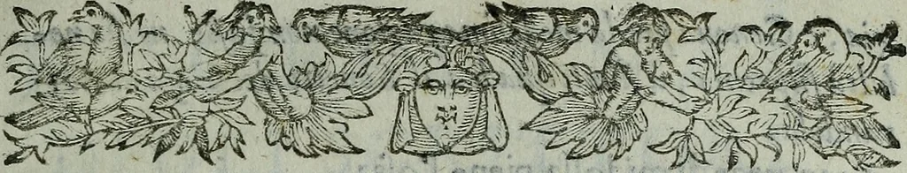 An illustration from Termini di mezzo rilievo e d'intera dottrina tra gl'archi di casa Valori in Firenze : col sommario della vita d'alcvni : compendio dell'opere de gl'altri, e indizio di tutti gl'aggiunti nel discorso dell'eccellenza degli scrittori, e nobiltà de gli studi Fiorentini, 1604, leaf 8