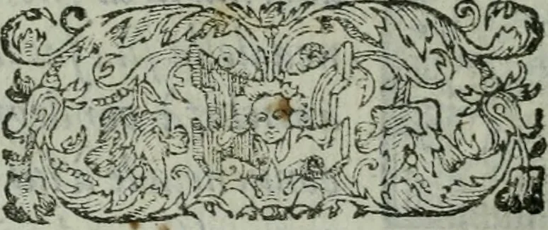 An illustration from Termini di mezzo rilievo e d'intera dottrina tra gl'archi di casa Valori in Firenze : col sommario della vita d'alcvni : compendio dell'opere de gl'altri, e indizio di tutti gl'aggiunti nel discorso dell'eccellenza degli scrittori, e nobiltà de gli studi Fiorentini, 1604, leaf 9