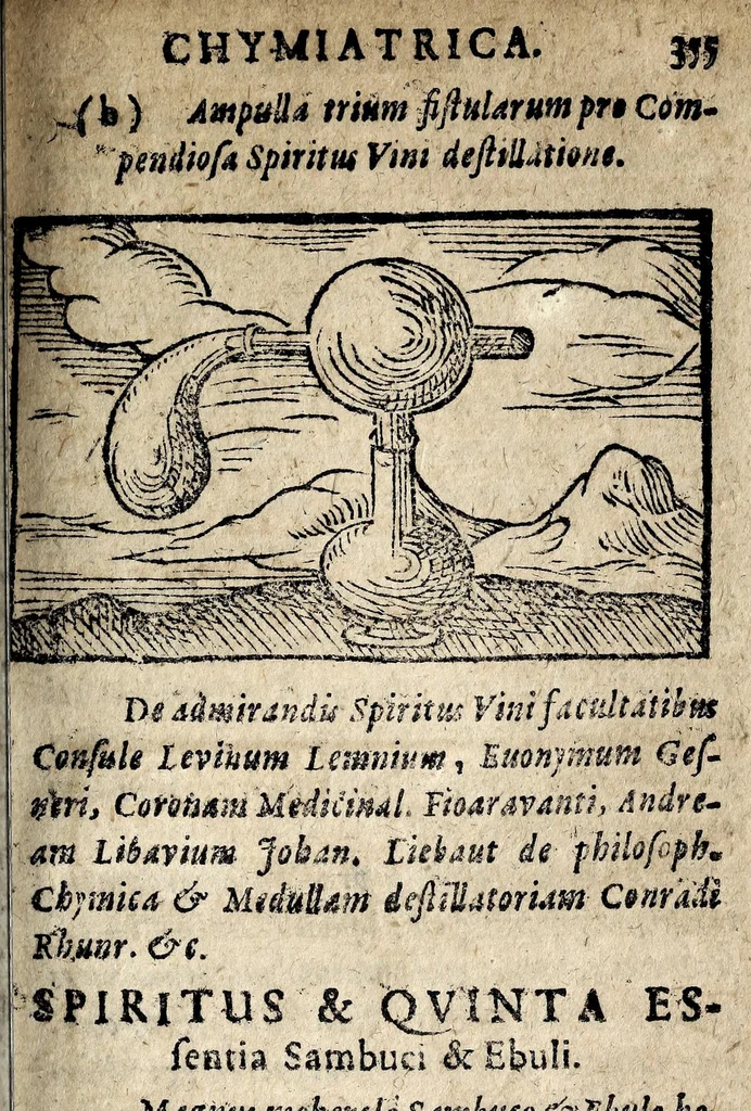 An illustration from Ternarius ternariorum hemeticorum bezoardicorum laudanorum, 1630, leaf 381